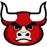 Chicago Bulls