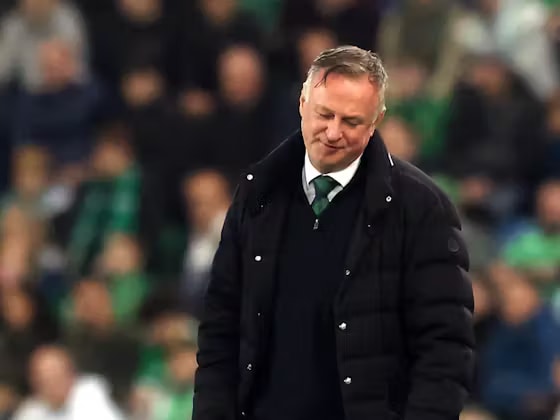 Kuzey İrlanda Teknik Direktörü Michael O'Neill Almanya'ya Karşı Alınan Ağır Mağlubiyetten Dolayı Hayal Kırıklığına Uğradı