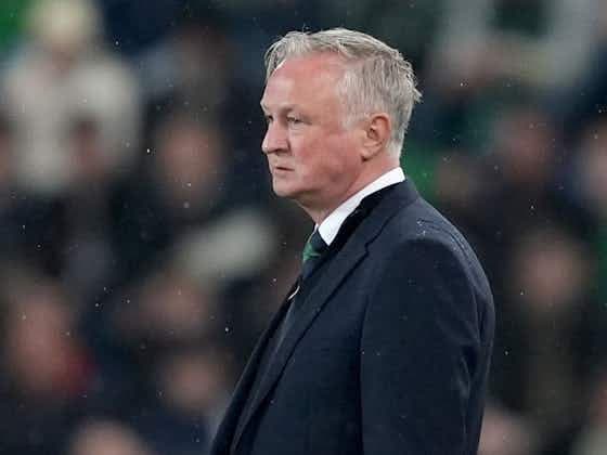 Michael O'Neill, Almanya yenilgisinde Kuzey İrlanda savunmasındaki hatalardan yakındı