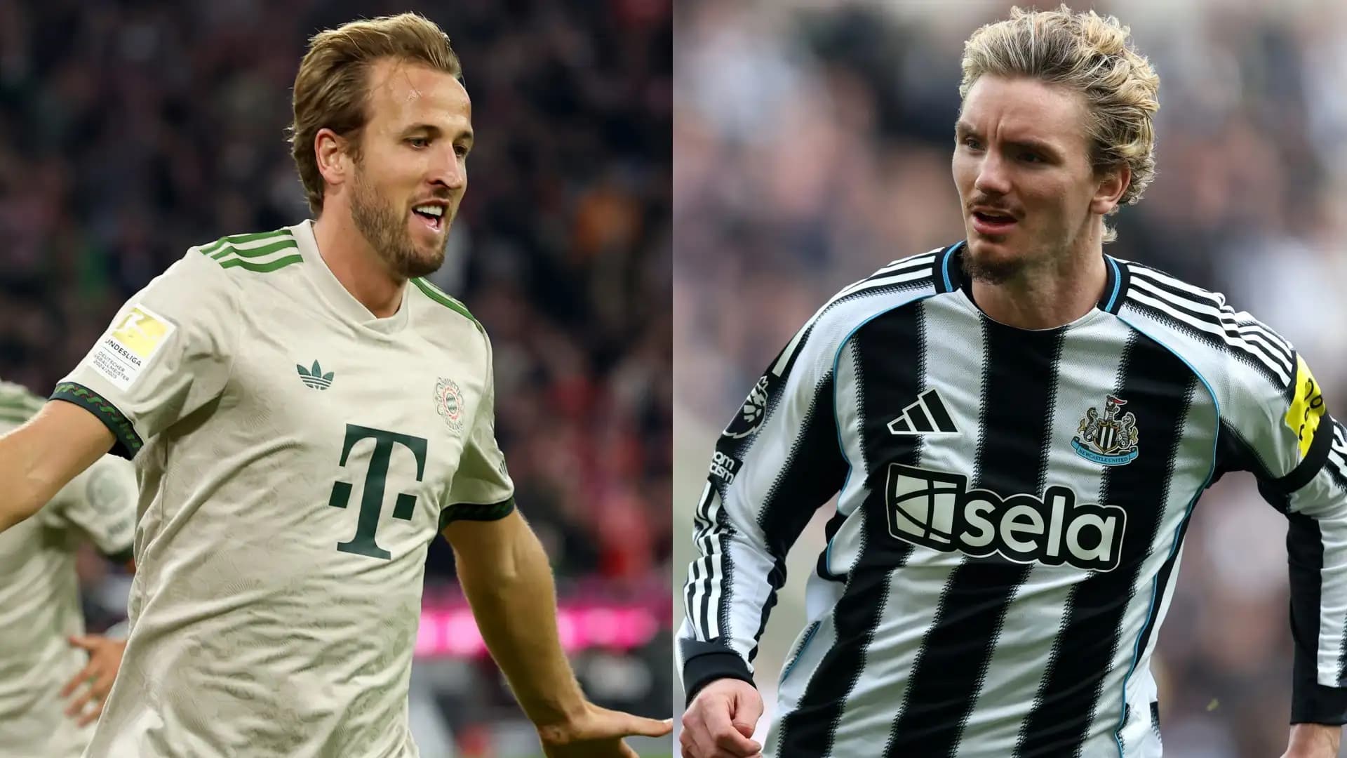 Gordon, Woltemade'yi İngiliz futbolcu Kane'e benzetti